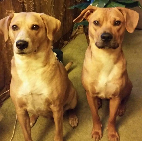 Meet your Posher, Tonya - Picture 7 of 8